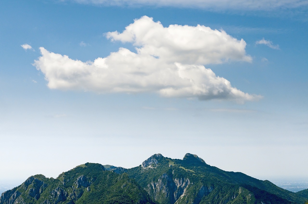Exploring the Role of Cloud Computing in Military Logistics